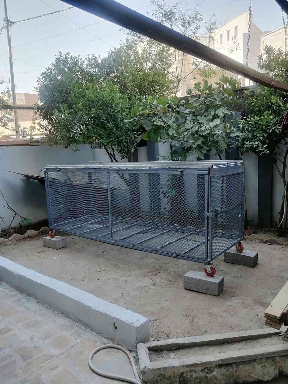 سلام عليكم عندي قفص حديد مشبك يفتح على جهات السته شد وحل الطول ٣ أمتار
الإرتفاع متر مربع
ومعه ملحقات قاعده خشب بلوك للأسفل معه جابيه للقط ومعه بيوت خشب تزواج وتفريخ
العنوان حي رفاق قرب جامع روضه محمديه المراجعه ساعه ٤ العصر السعر بعد النضر ***********
