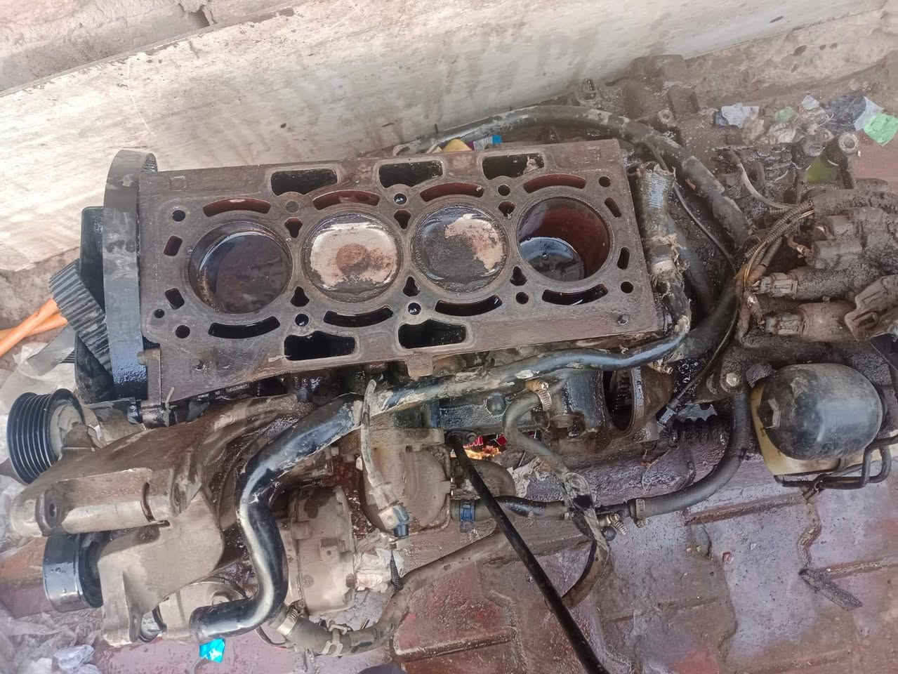 قير تيكو • ٢٠١٣ • ناصرية