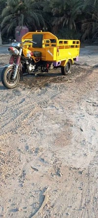 ستوته • بصره قرنه • واتساب