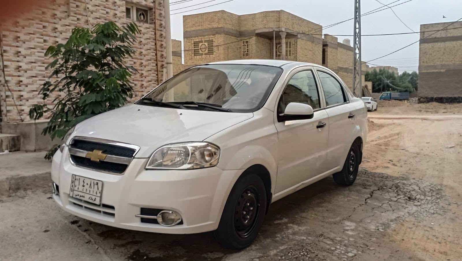 افيو • ٢٠١١ • نجف