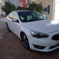 كادينزا فول • ٢٠١٤ • النجف