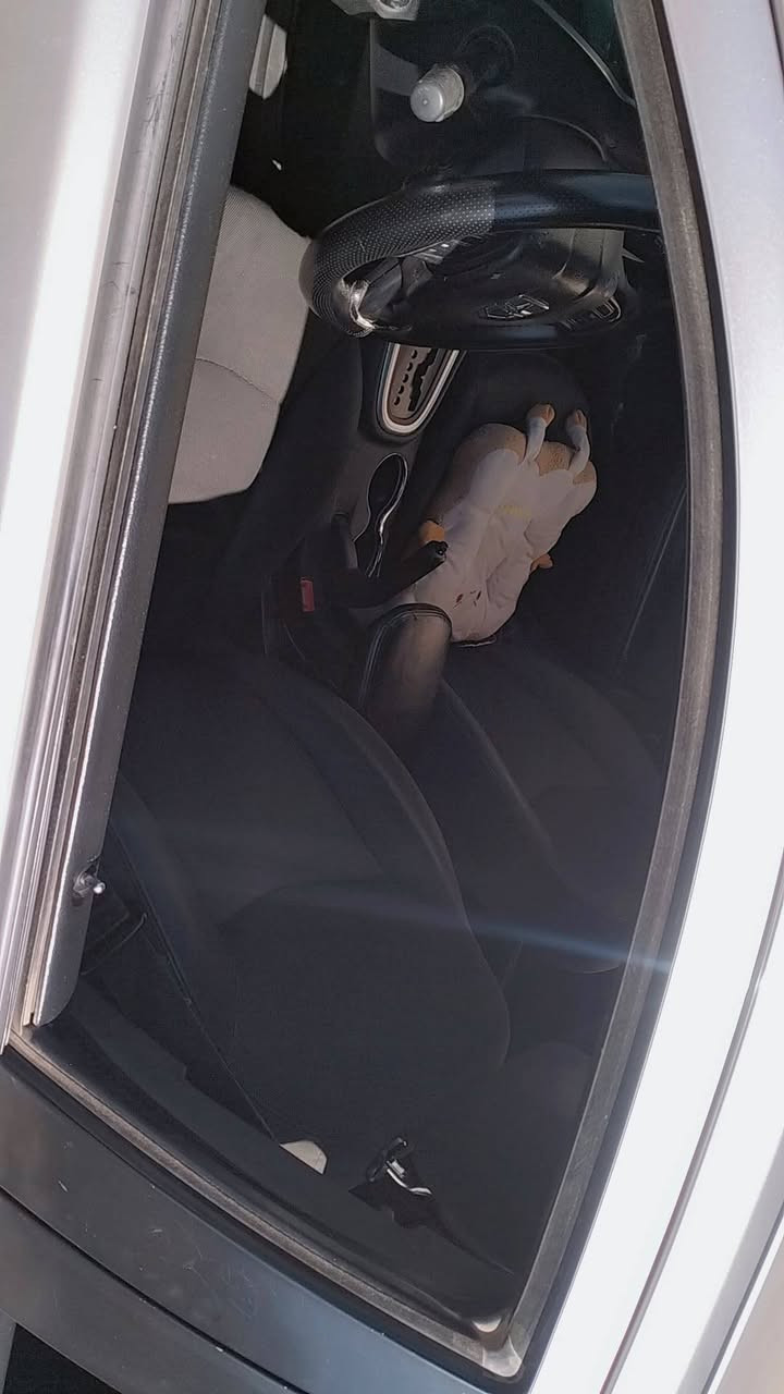 السلام عليكم
للبيع اومراوس حسب القناعه

Dodge Avenger2011
محرك V4 2.4
قطعتين صبغ 
مواصفات
مقاعد كهربائية
مري كهربائية 
تدفئة بل مقاعد
بريك ABS
مانع انزلاق 
تحكمات استيرن 
تبريد ثلج ❄️
تايرات جديدة 
عليها ادامة كاملة 
سيارة ماتحتاج مصرف 
رقم شبه مميز
السيارة كلها وضع شركة 
ظفيرة كهربائيات كلها بلاد شرط 
السعر 88 وعليها 10 ورقات غرامات  تنزل من السعر 
للاستفسار 
*********** واتساب
*********** اتصال
