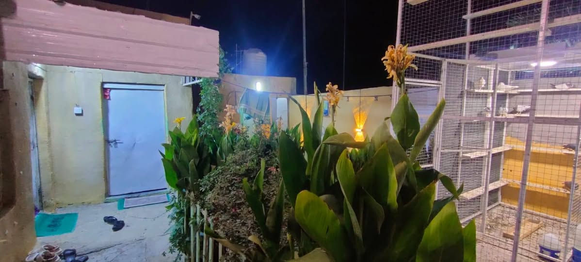 بيت ميتين متر بل موفقيه عل حولي مال حي الغدير علمن البيت تسجسل جديد اتصل وتدلل مناسب غرفتين نوم ما كاملات هوال زاد مطبخ زاد استقبال زاد كراج كاملات البيت مرتب وحلو وعل شارع 
***********
