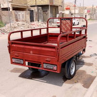 ستوته • ٢٠١٠ • سنوية
