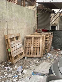 سكيبات خشب • ٢٢ • غزالية