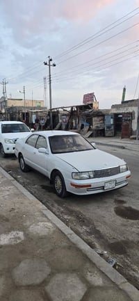 بطة اليف • عمر ١ سنة • بصره