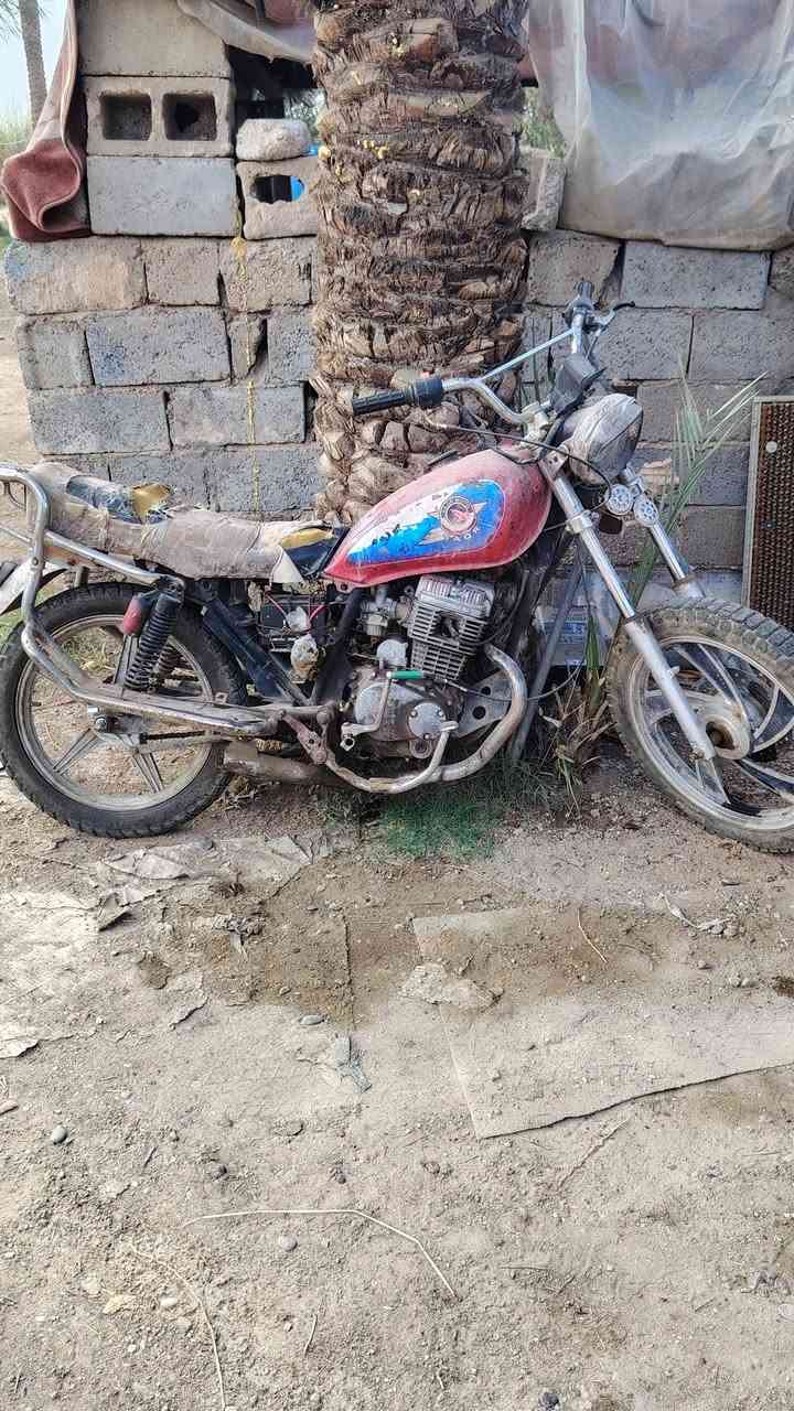 جونده • شغاله • كامله