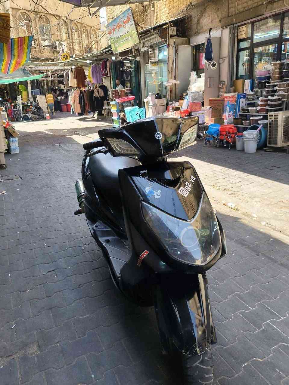 سكنس فحل • نوزل • مزودة