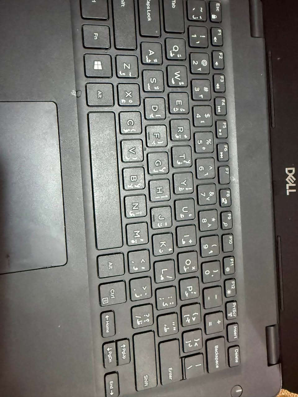 المعالج: Intel Core i5 - الجيل الثامن
عدد الأنوية: 4 أنوية / Threads 8

كرت الشاشة: Intel UHD Graphics (داخلي)

الرام: 8GB DDR4 (قابلة للتطوير)

التخزين: 256GB SSD (سريع جدًا)

حجم الشاشة: 13.3 إنج

نوع الشاشة: LED Anti-Glare (مضادة للانعكاس)

HD Webcam :الكاميرا

الصوت: ستيريو + مايك مدمج

Wi-Fi :الاتصال

لوحة المفاتيح: مريحة للطباعة

البطارية: جيدة وتدوم لساعات عمل

الوزن: خفيف وسهل الحمل

النظام: ويندوز مثبت وجاهز للاستخدام

الحالة: نظيف ومفحوص %100

مكاني كربلاء للاستفسار واتساب ***********
