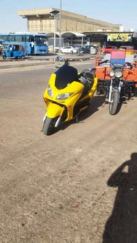 فورزه • نضيفه • مكفوله