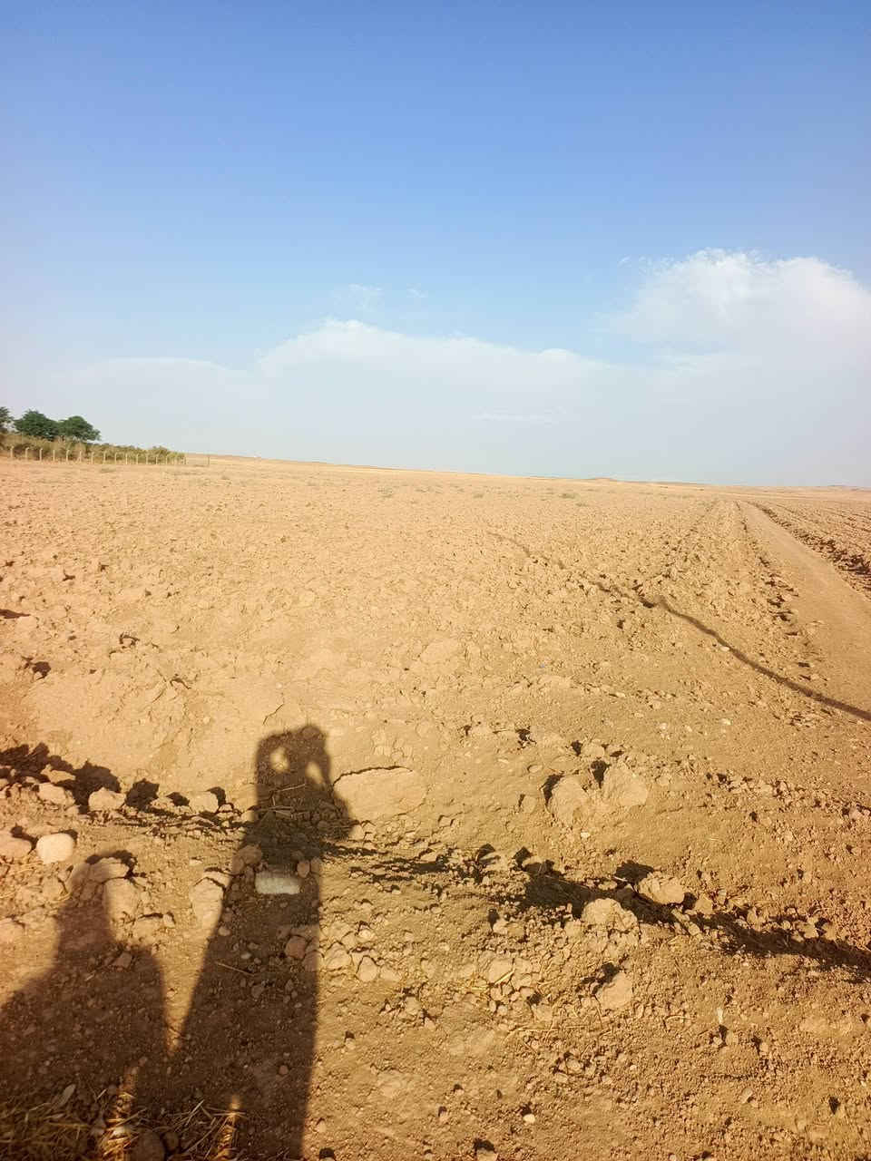 ٥ دونم ونص • قرب طريق صلاح آغا • جاهزة للزراعة