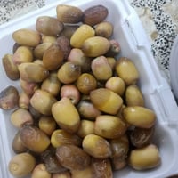 تمر بريم • درجة أولى • خشن