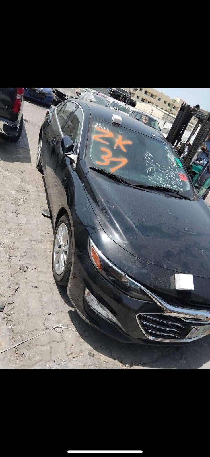 ماليبو • ٢٠٢٢ • رقم اربيل