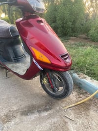 فراشه • فحل • نضيفه