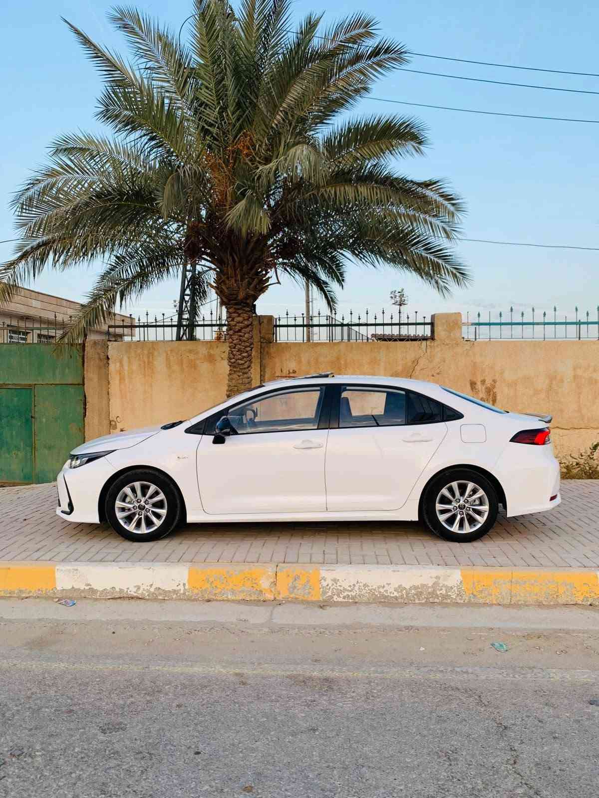 كورلا هايبرد • ٢٠٢٥ • رقم بغداد