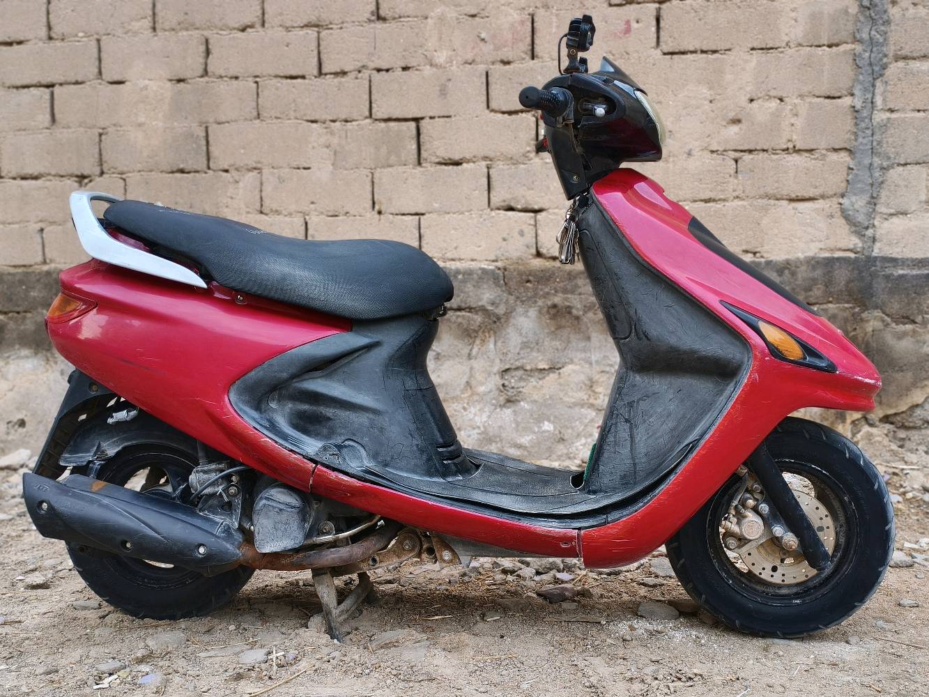 فراشة فحل • نظيفه • بستم مبدل