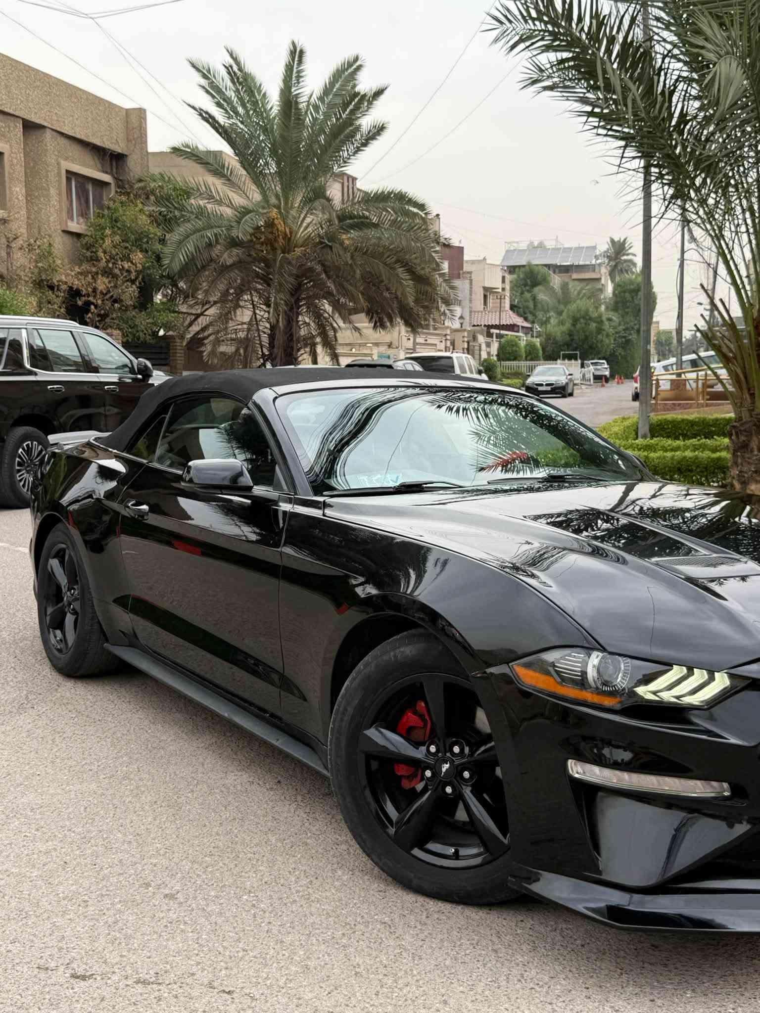 موستانگ ايكوبوست • ٢٠١٩ • رقم بغداد