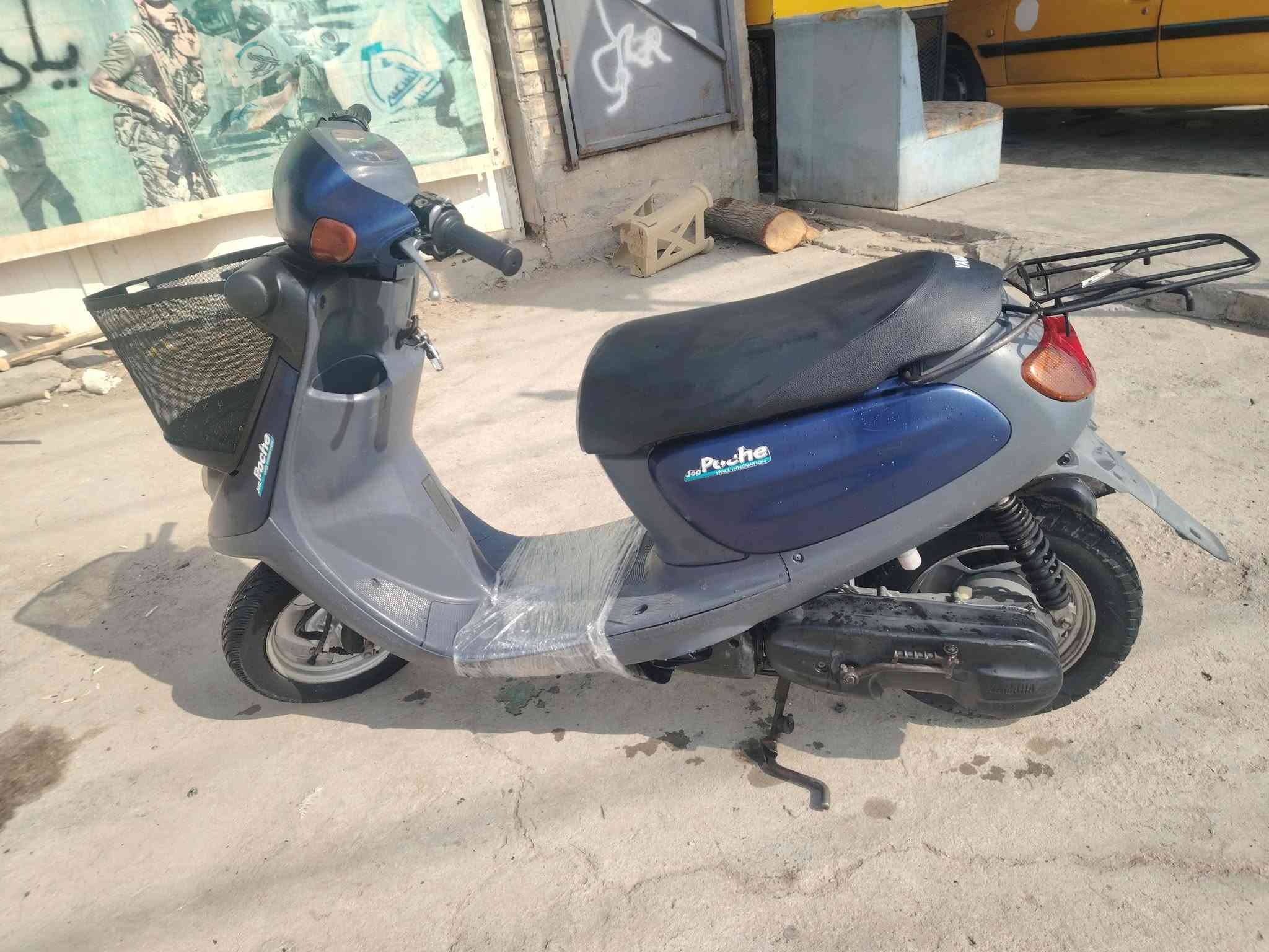 منغولي • نضيفه • ابلاديه