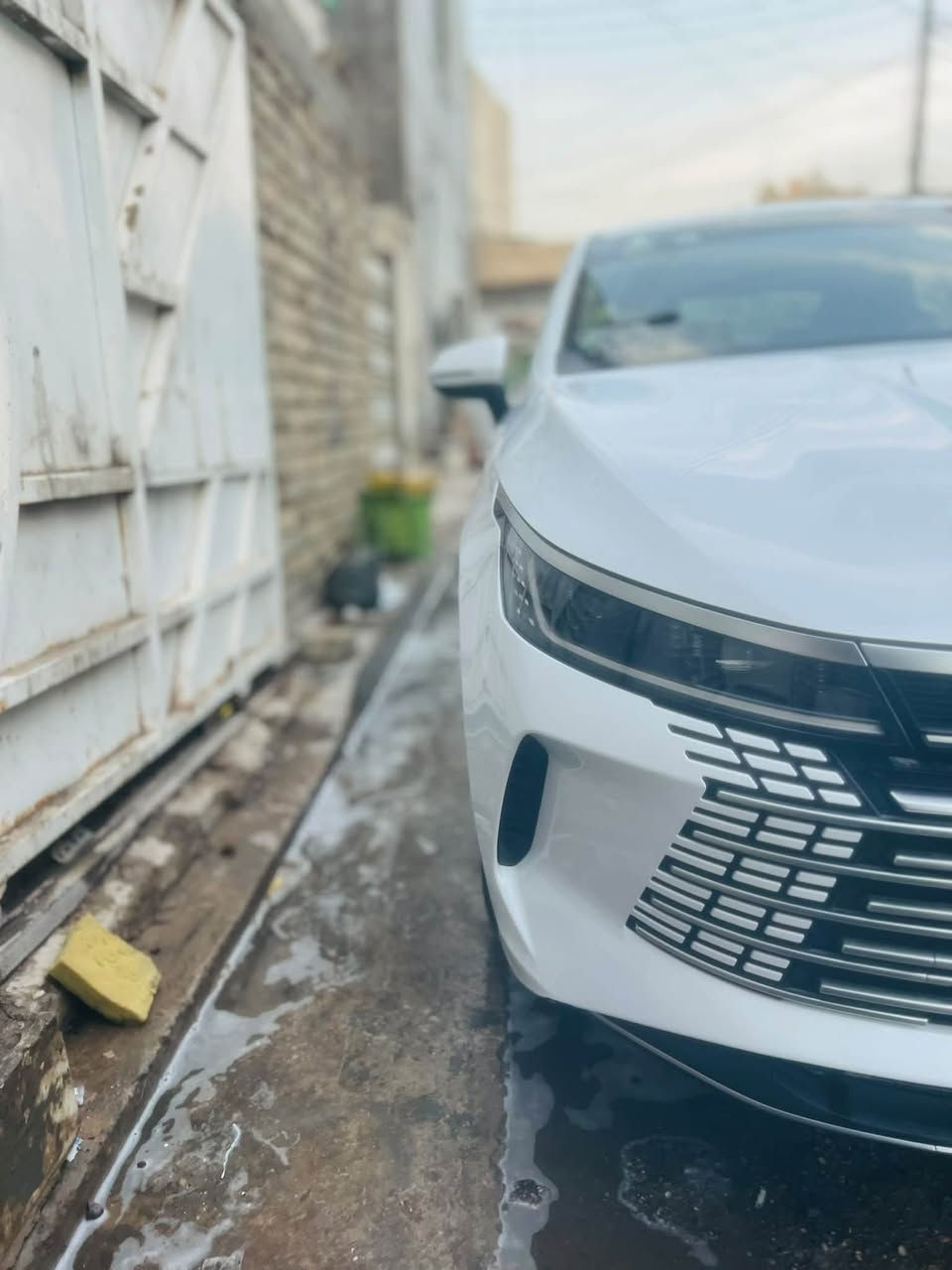 ديسروير • ٢٠٢٥ • ايرباك ١٢