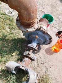 للبيع خنازير ماء 6×6 المكان بغداد التاجيات  07767177708