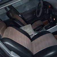 برس • سنويه • لوحة ٢٩