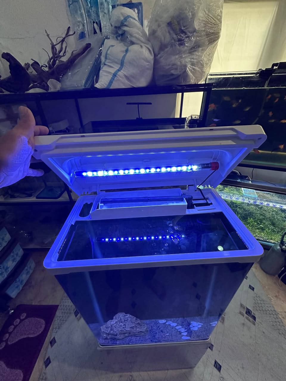 حوض ماء • فلتر خاص • إضاءة LED