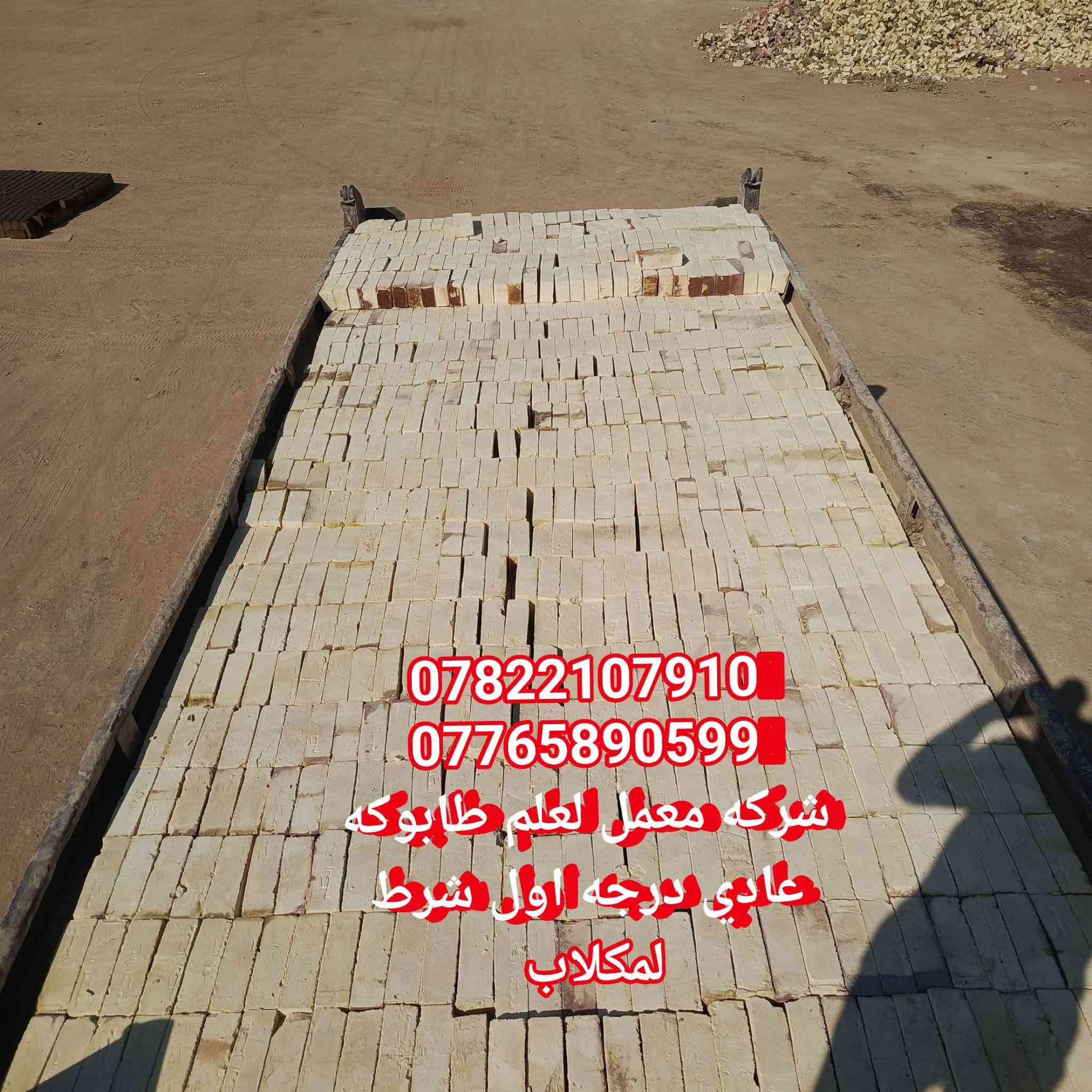 ***********
***********

نص مكتوب في الصور:
- *********** *********** شركة معمل العلم طابوكه عادي درجه اول شرط للمكلاب