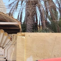 بابل حله • ٢٤٠م • ملك صرف