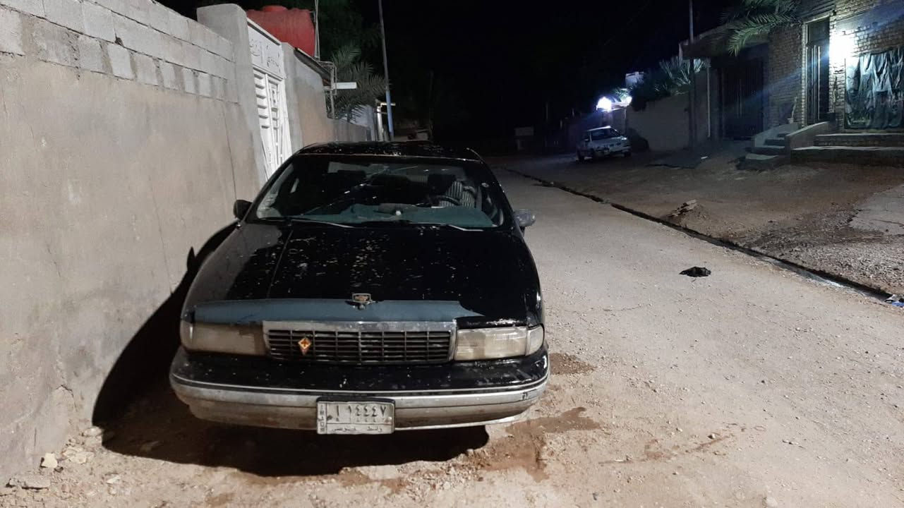 دولفين • موديل ٩١ • رقم واسط