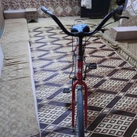 بيسكل • ياباني • حجم ٢٦