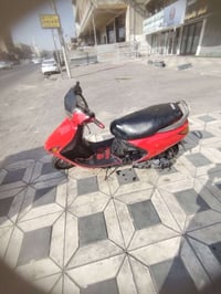 فراشة • مجال الشراي