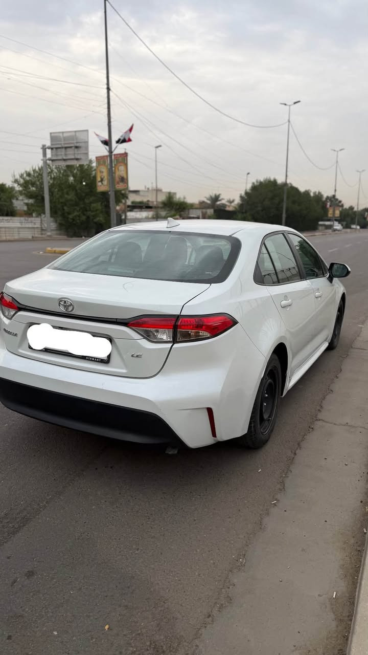 كورلا ٢٠٢٤ • تقرير غرق • وارد أمريكي