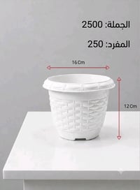 نباتات • سوق سنادين • توصيل موصل