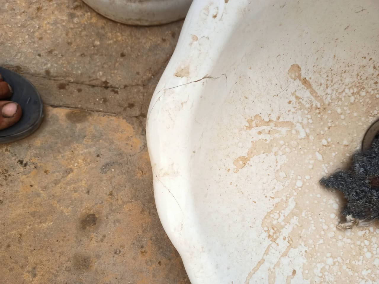 مغسلة • عليها فطر • للبيع