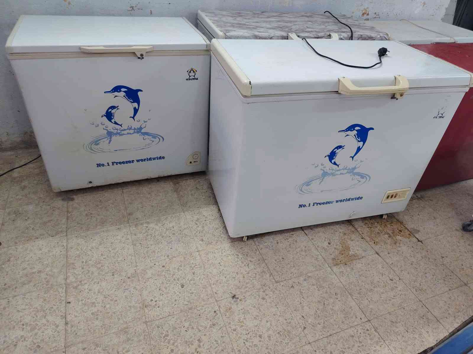 مجمدات • شرط التجميد • ميسان العماره