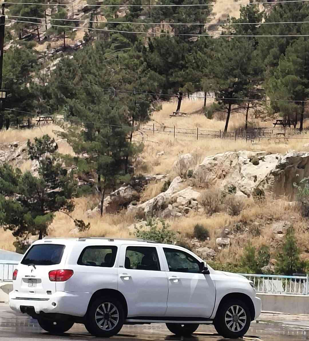سيكويا • ٢٠٠٩ • رقم بصرة