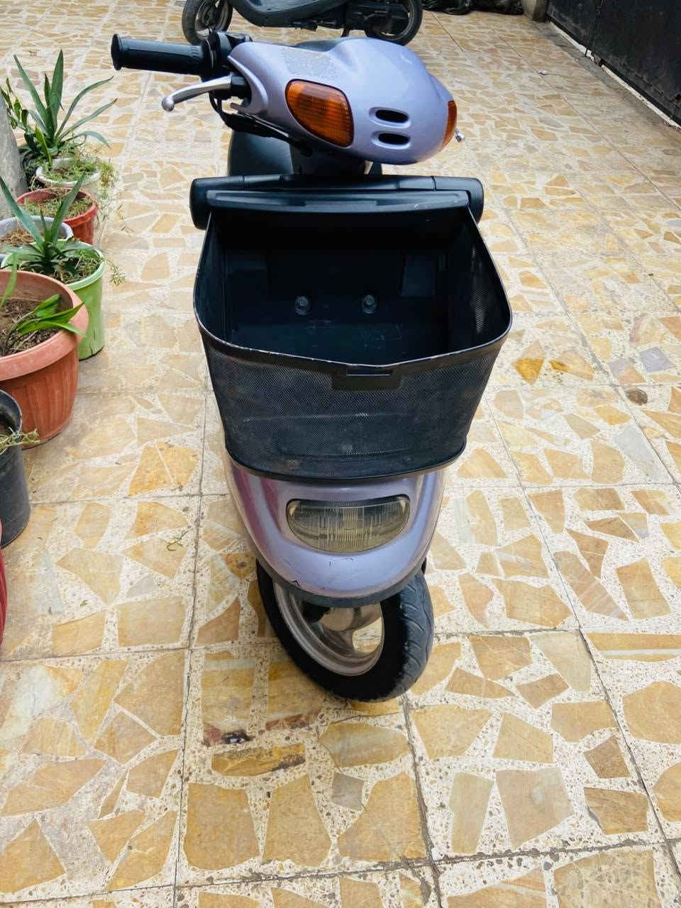 منغولي • ٢٠٠٧ • جديده