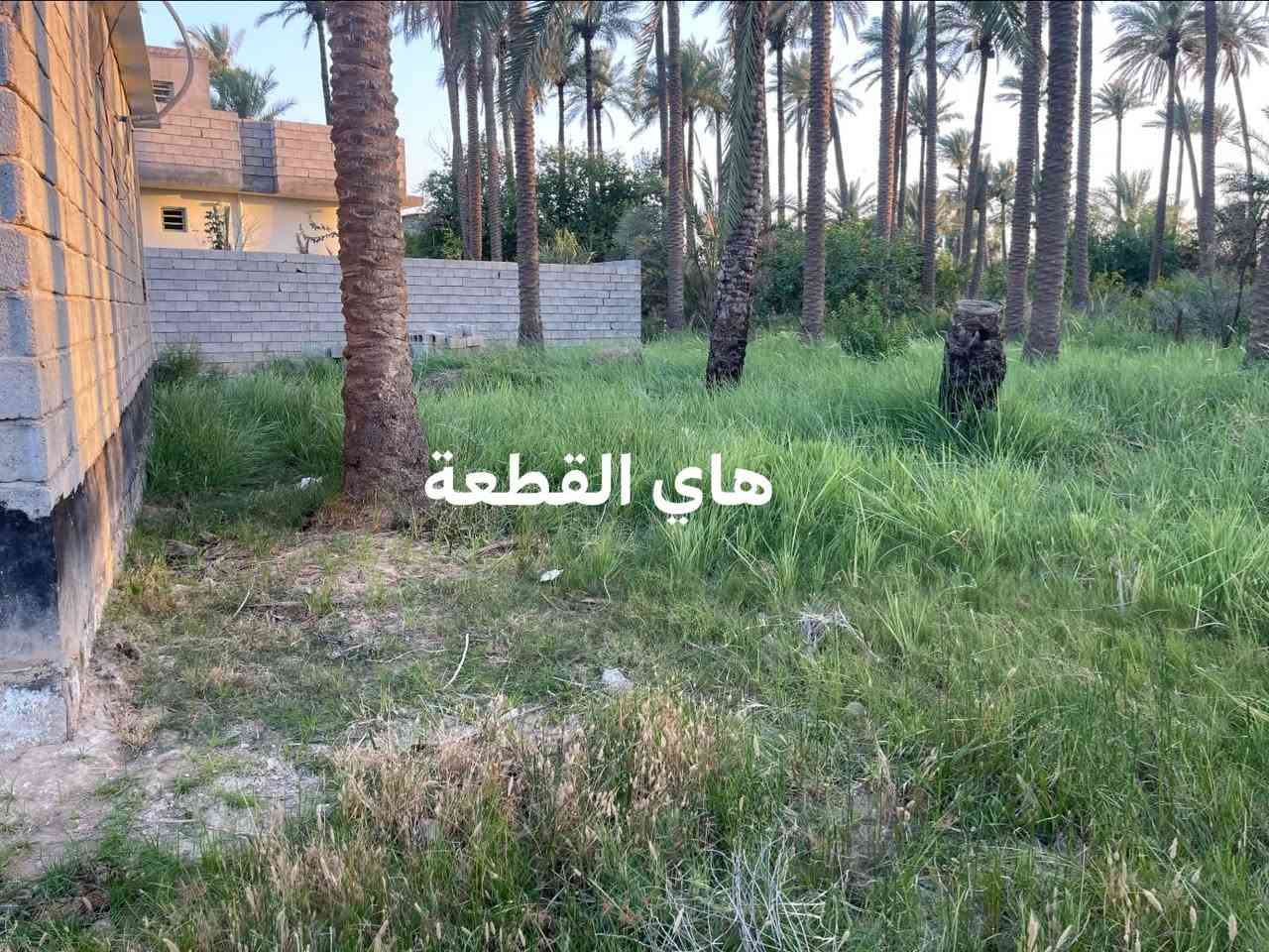 السلام عليكم
قطعة ارض للبيع المساحه 110م

الواجهة 10م

النزال 11 م

طابو زراعي سند 25

خدمات كامل ماء وكهرباء وتبليط ومجاري 

العنوان بعقوبة في منطقة السوامرة قرب قنطرة خليل باشا 

للاستفسار اتصل ***********
