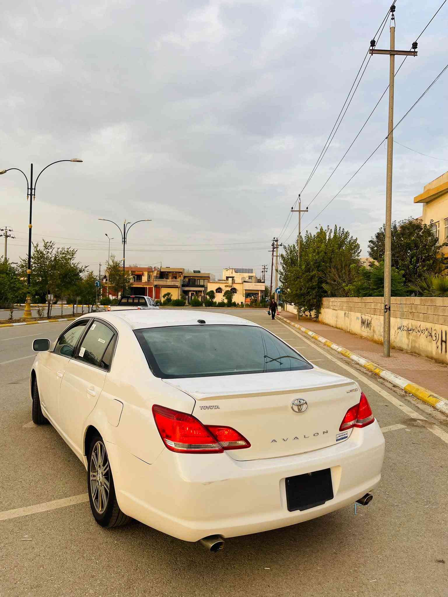 افالون • ٢٠٠٨ • لوحة هلبجة