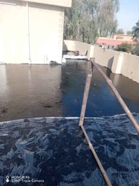 تطبيك شتايكر • زفت وماستك • قلع شتايكر