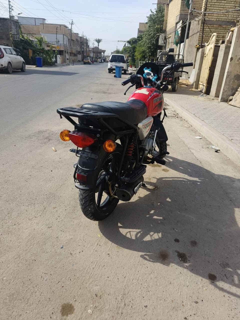 بوكسر جبلي • اوراق اصلية • نعومه المكينه