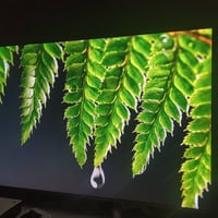 ٥٥ بوصة • 4K UHD • نظيفة