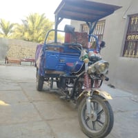 ستوته • موديل ٢٣ • فحل