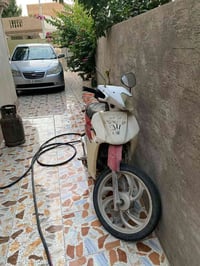 سرفيز • ٢٠١٤ • زرف خلفي