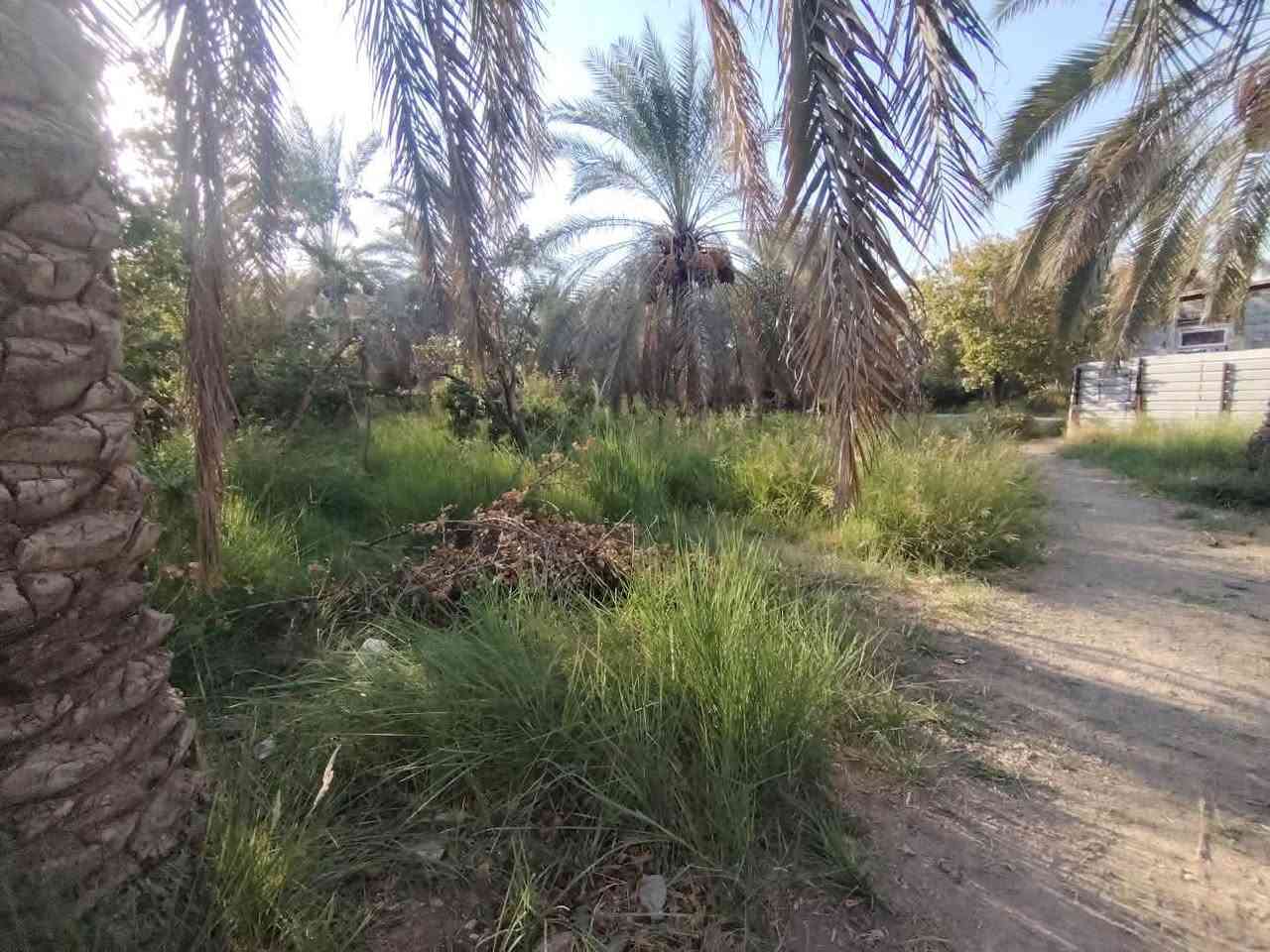السلام عليكم قطعة ارض مساحة ٤٨٠٠ متر سند ٢٥ بإسمي بواجهة ٦٠ ونزال ٨٠  الموقع السياحي قرب الامام الحسن تبعد عن شارع التبليط ٨٠ متر متوفره كافة الخدمات ماء كهرباء مدارس ابتدائية ومتوسطة السعر ٢٥٠ مليون قابل للتفاوض للاتصال رقم صاحب القطعة *********** #ملاحضة مكلف بالنشر !!
