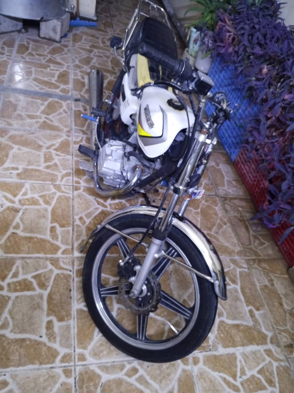 سابين • خمسه قير