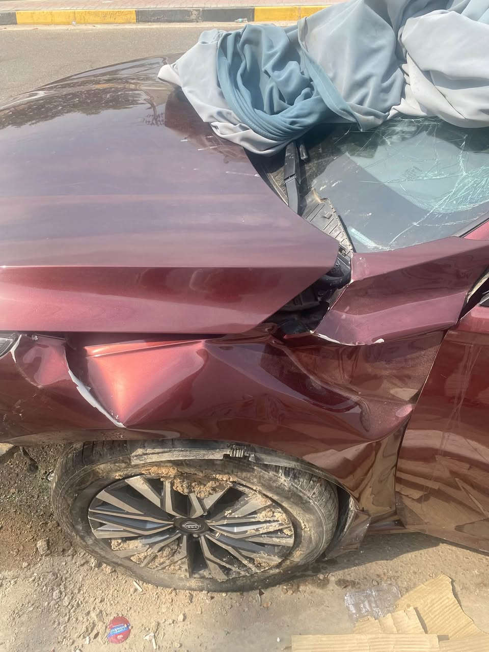 التيما • ٢٠٢٣ • رقم بصرة