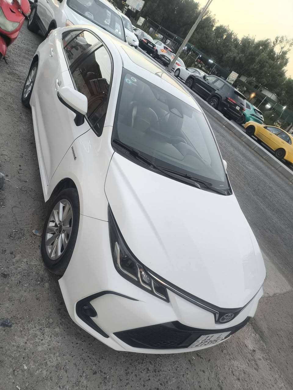 سلام عليكم هايبرد 2023 مكفوله كفاله عامه عامه بسمي فول مواصفات كشن حمر شكل خليجي سعر 146 ستفسار ***********
