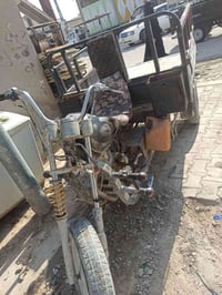 ستوته • كلك ضايعه • اوراق ضايعه