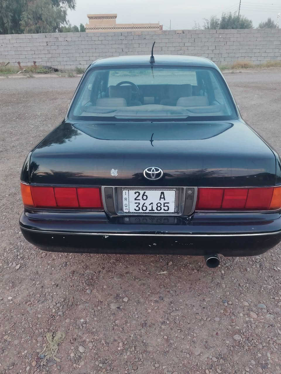 أرنب • ١٩٩٢ • بدون حادث